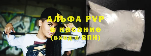 гидра Богданович